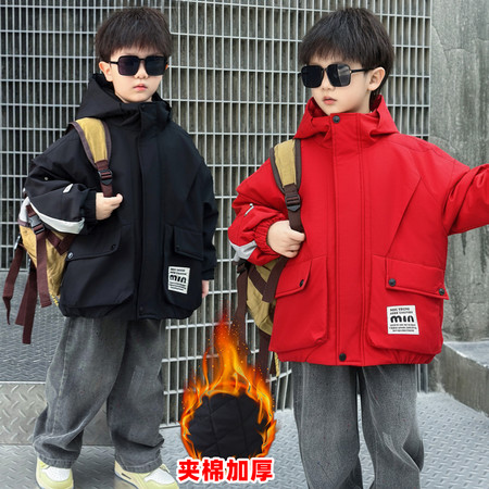 奕辰宝贝&奕辰宝贝&2529