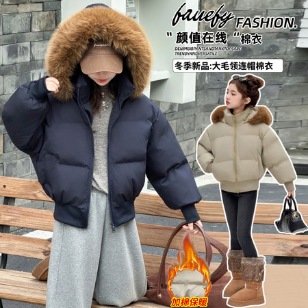 墩墩虎&墩墩虎&DDH-2521大毛领连帽棉衣
