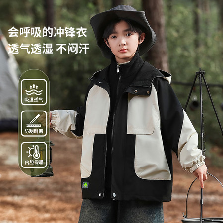 泽泽熊&泽泽熊&zzx-2025-667