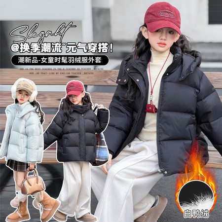 萌布衣&萌布衣&08891